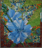Chicory