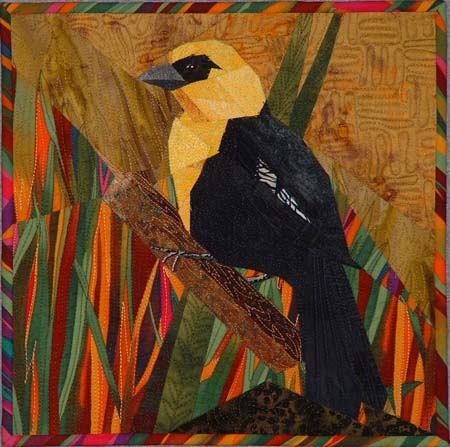 Yellow Headed Blackbird