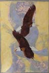 Eagles Soar