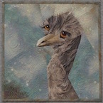 Emu, I See You!