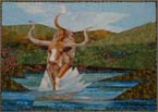 Longhorn Splashdown