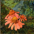 Coneflowers
